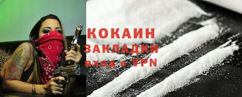 COCAIN Fish Scale  Вологда 