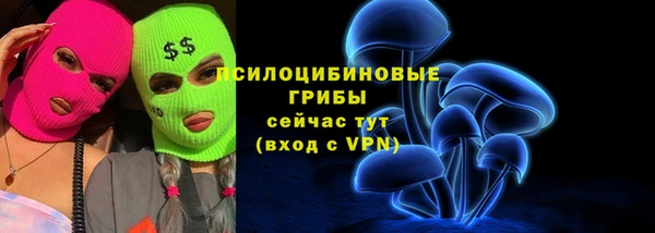 mdpv Михайловск