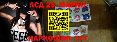 spice Гатчина