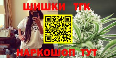 spice Гатчина