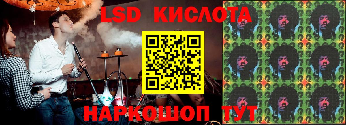 Галлюциногенные грибы Вологда