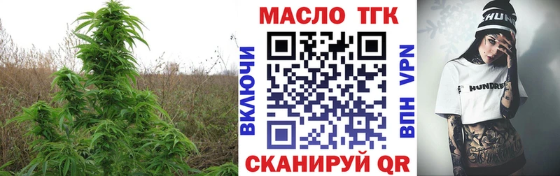 магазин продажи   Вологда  ТГК THC oil 