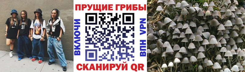 Галлюциногенные грибы ЛСД  дарнет шоп  Вологда 