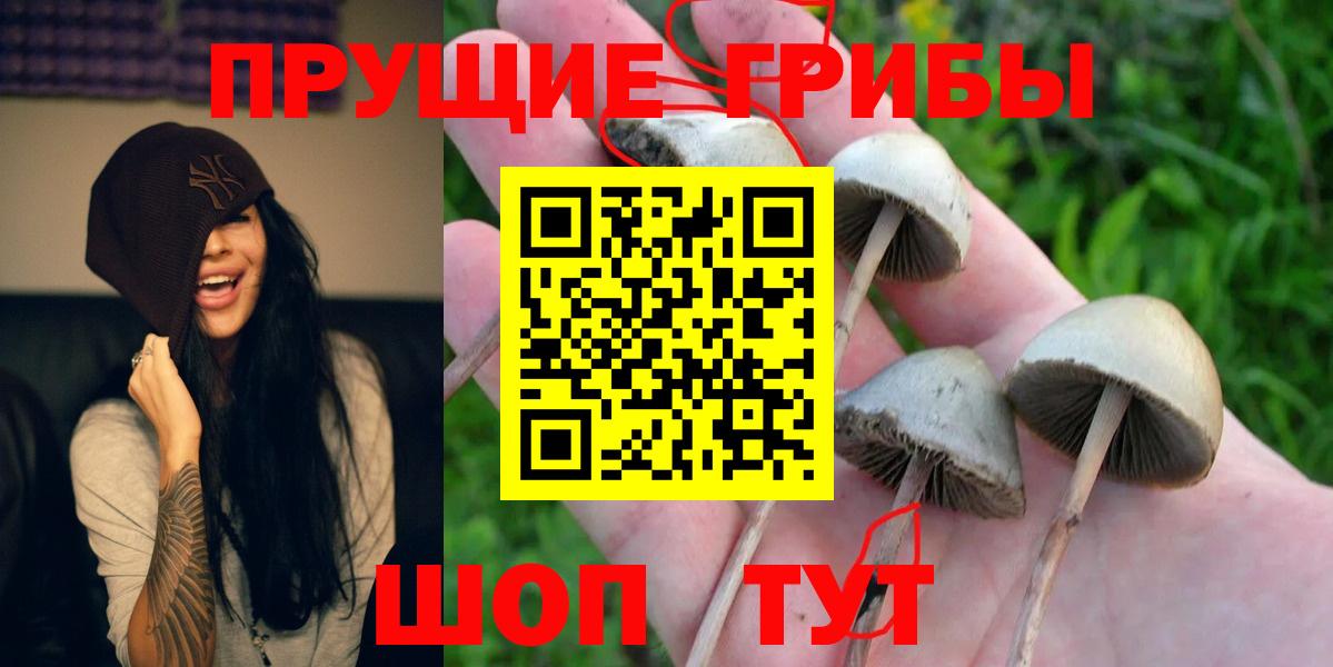 Псилоцибиновые грибы MAGIC MUSHROOMS  Вологда 